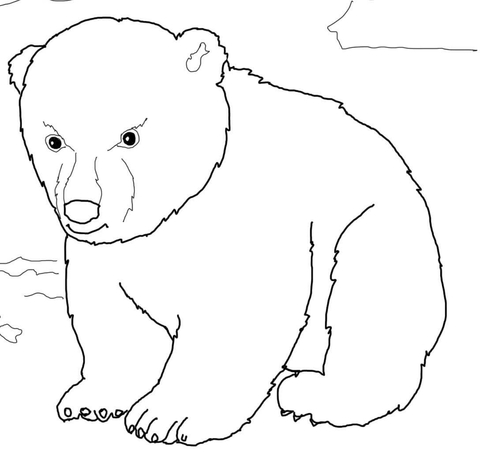 Cute Polar Bear Cub Coloring Page